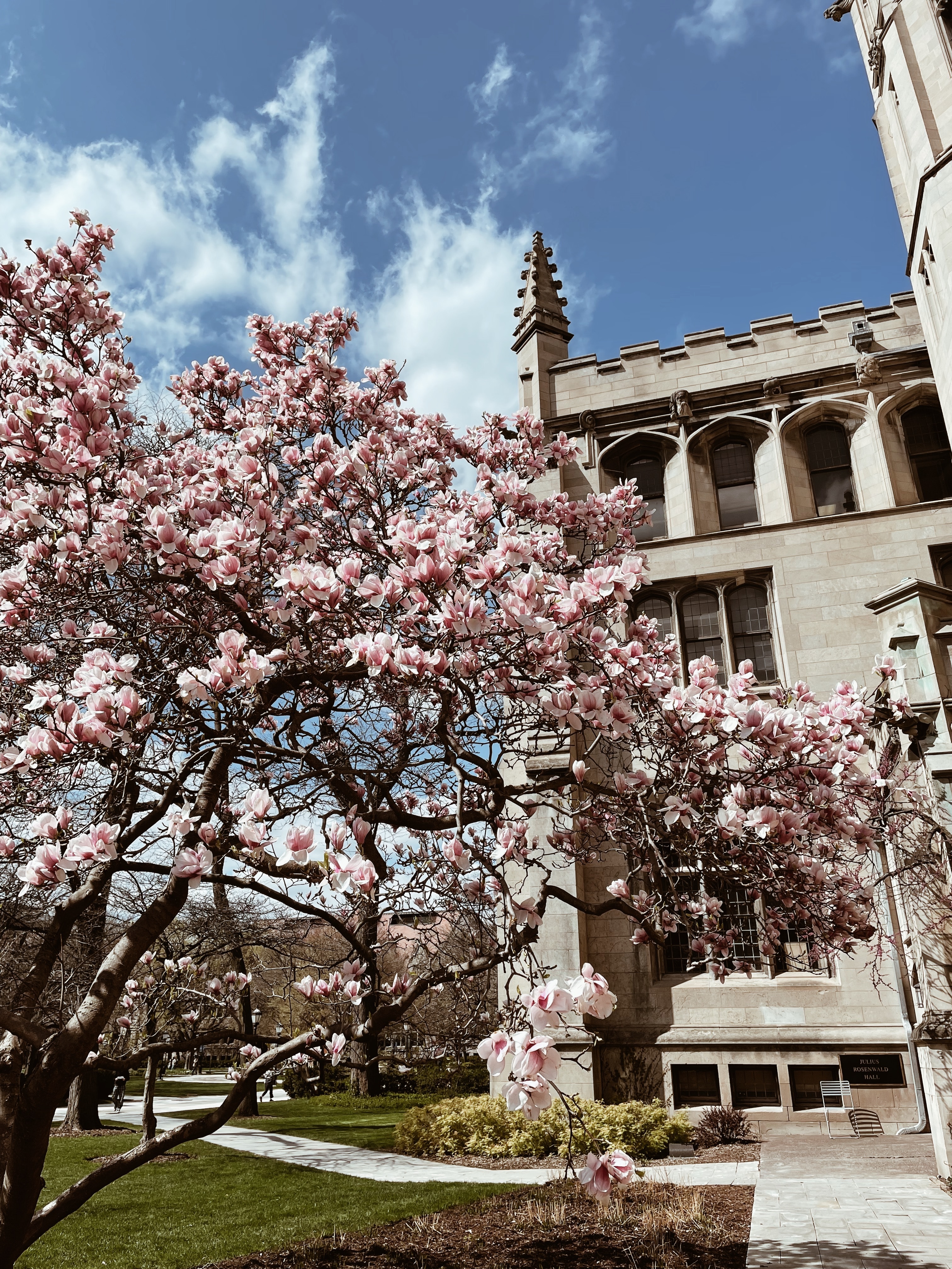 MBA Schools